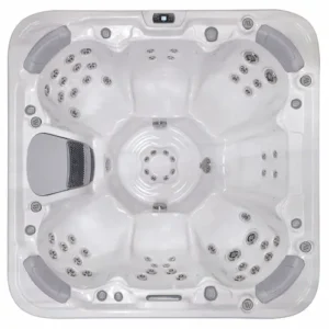 Libra Hot Tub for Sale in Brookfield